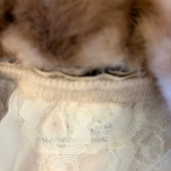 Vintage 50’s/60’s Dalton Cardigan Sweater - Picture 2 of 6